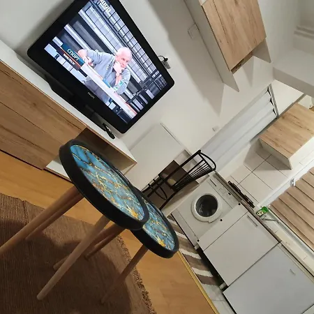 Garsonjera U Centru ホームステイ *