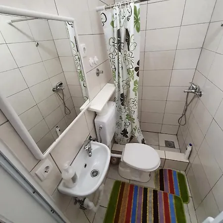 Garsonjera U Centru ホームステイ
