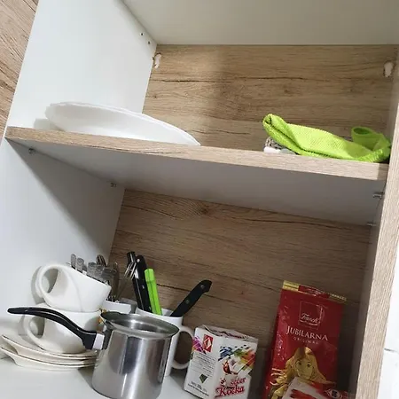 ホームステイ Garsonjera U Centru