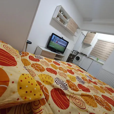 Homestay Garsonjera U Centru